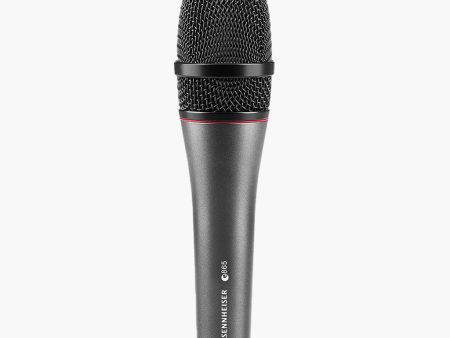 Sennheiser PRO e 865 Online Hot Sale