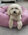 Luna With Me Donut Dog Bed - Mauve Hot on Sale