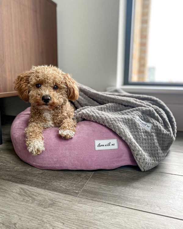 Luna With Me Donut Dog Bed - Mauve Hot on Sale